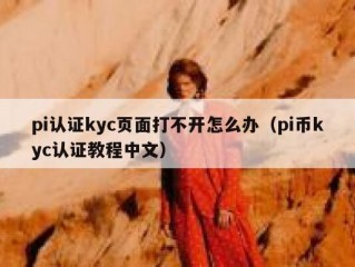 pi认证kyc页面打不开怎么办（pi币kyc认证教程中文）