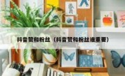 抖音赞和粉丝（抖音赞和粉丝谁重要）