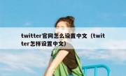 twitter官网怎么设置中文（twitter怎样设置中文）