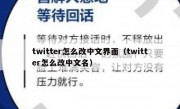 twitter怎么改中文界面（twitter怎么改中文名）