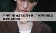 广州限行被拍怎么处罚车辆（广州限行被拍怎么处罚车辆违章）
