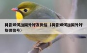 抖音如何加国外好友微信（抖音如何加国外好友微信号）