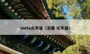 meta元宇宙（豆瓣 元宇宙）