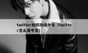 twitter如何改成中文（twitter怎么变中文）