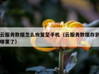 云服务数据怎么恢复至手机（云服务数据存到哪里了）