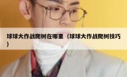 球球大作战爬树在哪里（球球大作战爬树技巧）