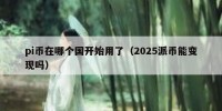 pi币在哪个国开始用了（2025派币能变现吗）