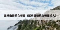 派币邀请码在哪里（派币邀请码在哪里输入）