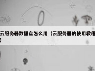 云服务器数据盘怎么用（云服务器的使用教程）