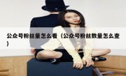 公众号粉丝量怎么看（公众号粉丝数量怎么查）
