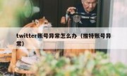 twitter账号异常怎么办（推特账号异常）