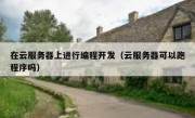 在云服务器上进行编程开发（云服务器可以跑程序吗）
