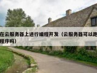 在云服务器上进行编程开发（云服务器可以跑程序吗）
