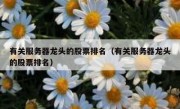 有关服务器龙头的股票排名（有关服务器龙头的股票排名）