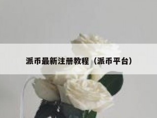 派币最新注册教程（派币平台）