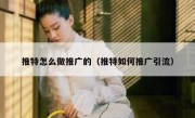 推特怎么做推广的（推特如何推广引流）