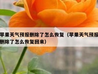 苹果天气预报删除了怎么恢复（苹果天气预报删除了怎么恢复回来）