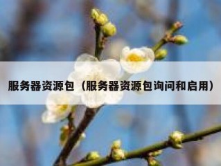 服务器资源包（服务器资源包询问和启用）