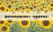 国际抖音粉丝排行榜前十（抖音国外排名）