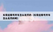 石家庄限号开车怎么处罚的（石家庄限号开车怎么处罚的呢）