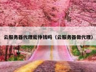 云服务器代理能挣钱吗（云服务器做代理）