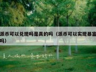 派币可以兑现吗是真的吗（派币可以实现暴富吗）