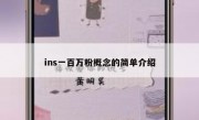 ins一百万粉概念的简单介绍