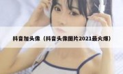 抖音加头像（抖音头像图片2021最火爆）
