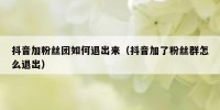 抖音加粉丝团如何退出来（抖音加了粉丝群怎么退出）