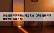 微信视频号没有粉丝吗怎么办（微信视频号没有粉丝吗怎么办呀）