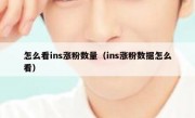 怎么看ins涨粉数量（ins涨粉数据怎么看）
