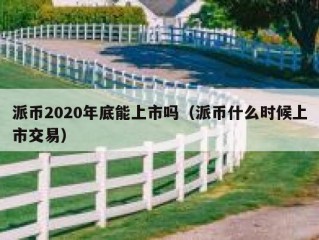 派币2020年底能上市吗（派币什么时候上市交易）