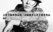 上不了高中怎么办（以后孩子上不了高中怎么办）