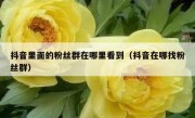 抖音里面的粉丝群在哪里看到（抖音在哪找粉丝群）