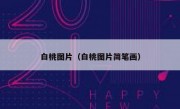白桃图片（白桃图片简笔画）