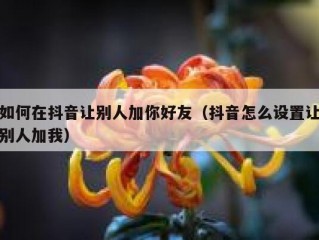 如何在抖音让别人加你好友（抖音怎么设置让别人加我）