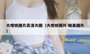 大樱桃图片高清大图（大樱桃图片 精美图片）