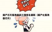 国产芯片服务器前三强排名最新（国产化服务器芯片）
