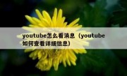 youtube怎么看消息（youtube如何查看详细信息）