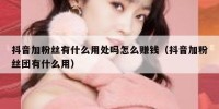 抖音加粉丝有什么用处吗怎么赚钱（抖音加粉丝团有什么用）