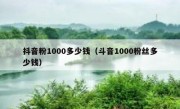 抖音粉1000多少钱（斗音1000粉丝多少钱）