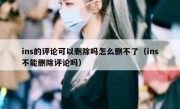 ins的评论可以删除吗怎么删不了（ins不能删除评论吗）