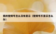 我的视频号怎么没有显示（视频号不显示怎么办）