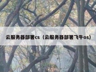 云服务器部署cs（云服务器部署飞牛os）