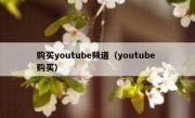 购买youtube频道（youtube 购买）