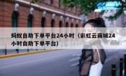 蚂蚁自助下单平台24小时（彩虹云商城24小时自助下单平台）