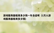 游戏服务器租用多少钱一年合适呢（1万人游戏服务器租用多少钱）