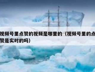视频号里点赞的视频是哪里的（视频号里的点赞是实时的吗）