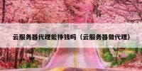 云服务器代理能挣钱吗（云服务器做代理）
