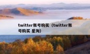 twitter账号购买（twitter账号购买 星淘）